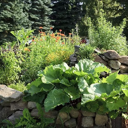 Vendégház Landhotel Trakehnerhof 3*