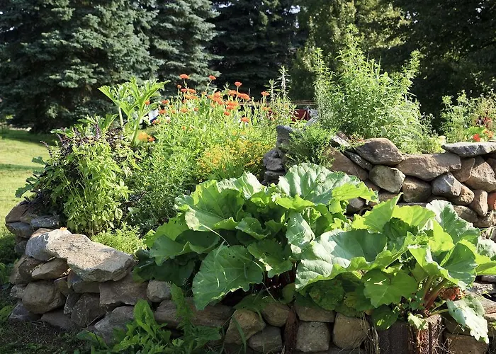 Guest house Landhotel Trakehnerhof 3*